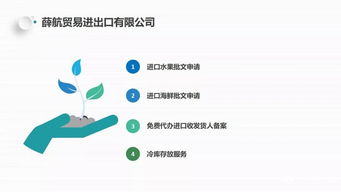 独家分享 薛航物流综合货运代理一站式服务，高效装卸搬运助力企业腾飞