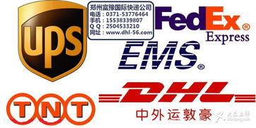 富豫国际快递 郑州生活服务的装卸搬运专家