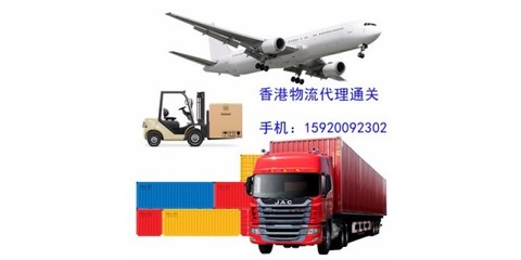 浙江东阳进口刺猬紫檀仓储清关与物流全攻略 一站式门到门服务解析